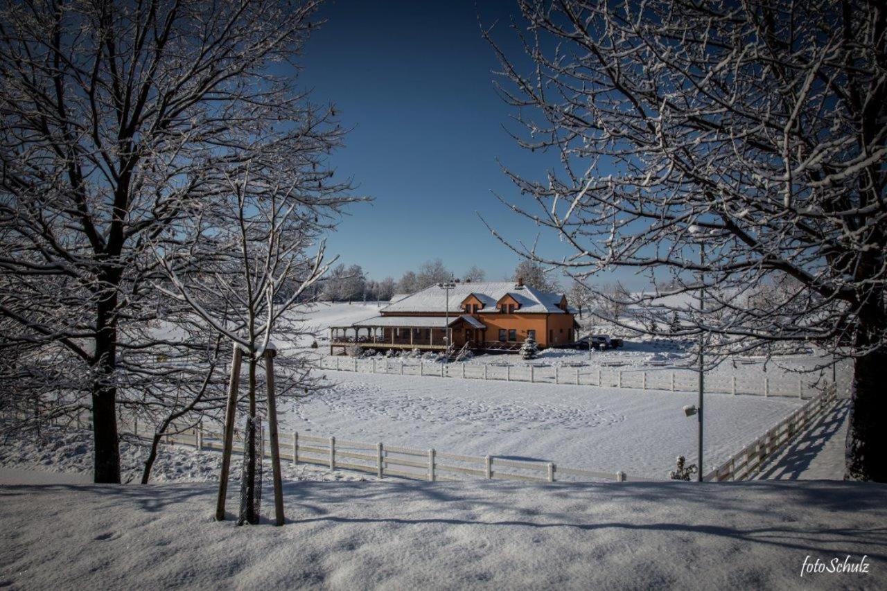 Hotel Horse Riding - Jezdecky Areal Tršice Eksteriør bilde