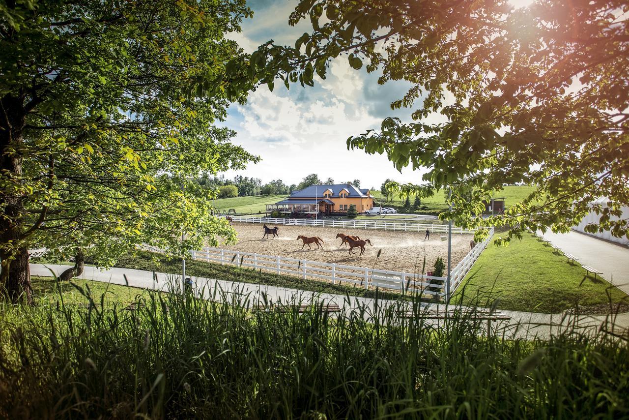 Hotel Horse Riding - Jezdecky Areal Tršice Eksteriør bilde