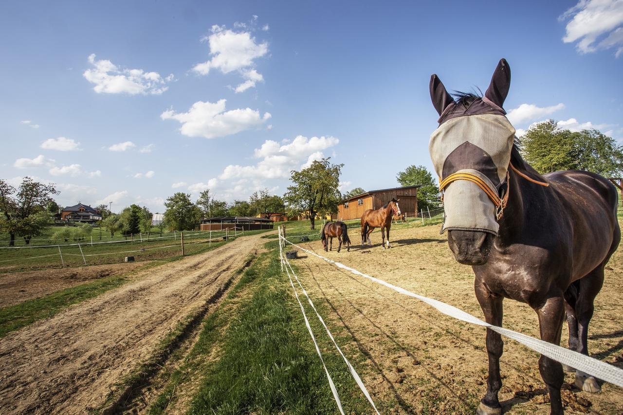 Hotel Horse Riding - Jezdecky Areal Tršice Eksteriør bilde