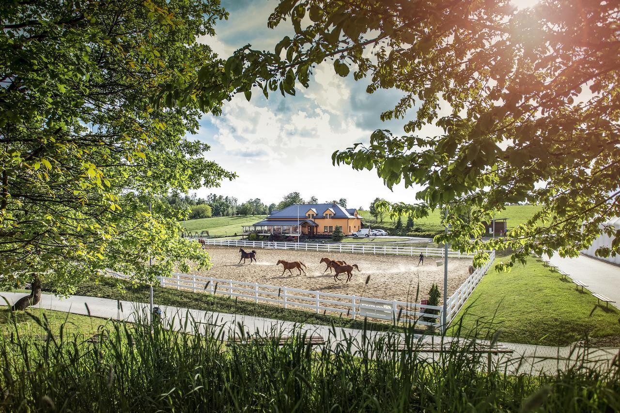 Hotel Horse Riding - Jezdecky Areal Tršice Eksteriør bilde