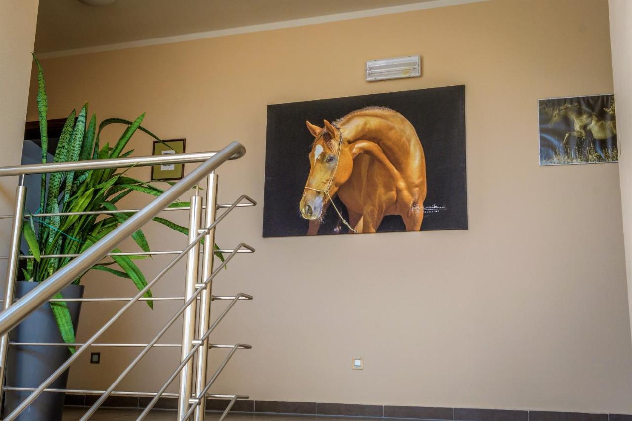 Hotel Horse Riding - Jezdecky Areal Tršice Eksteriør bilde